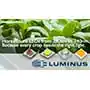 Luminus Devices Inc家庭园艺照明解决方案的介绍、特性、及应用