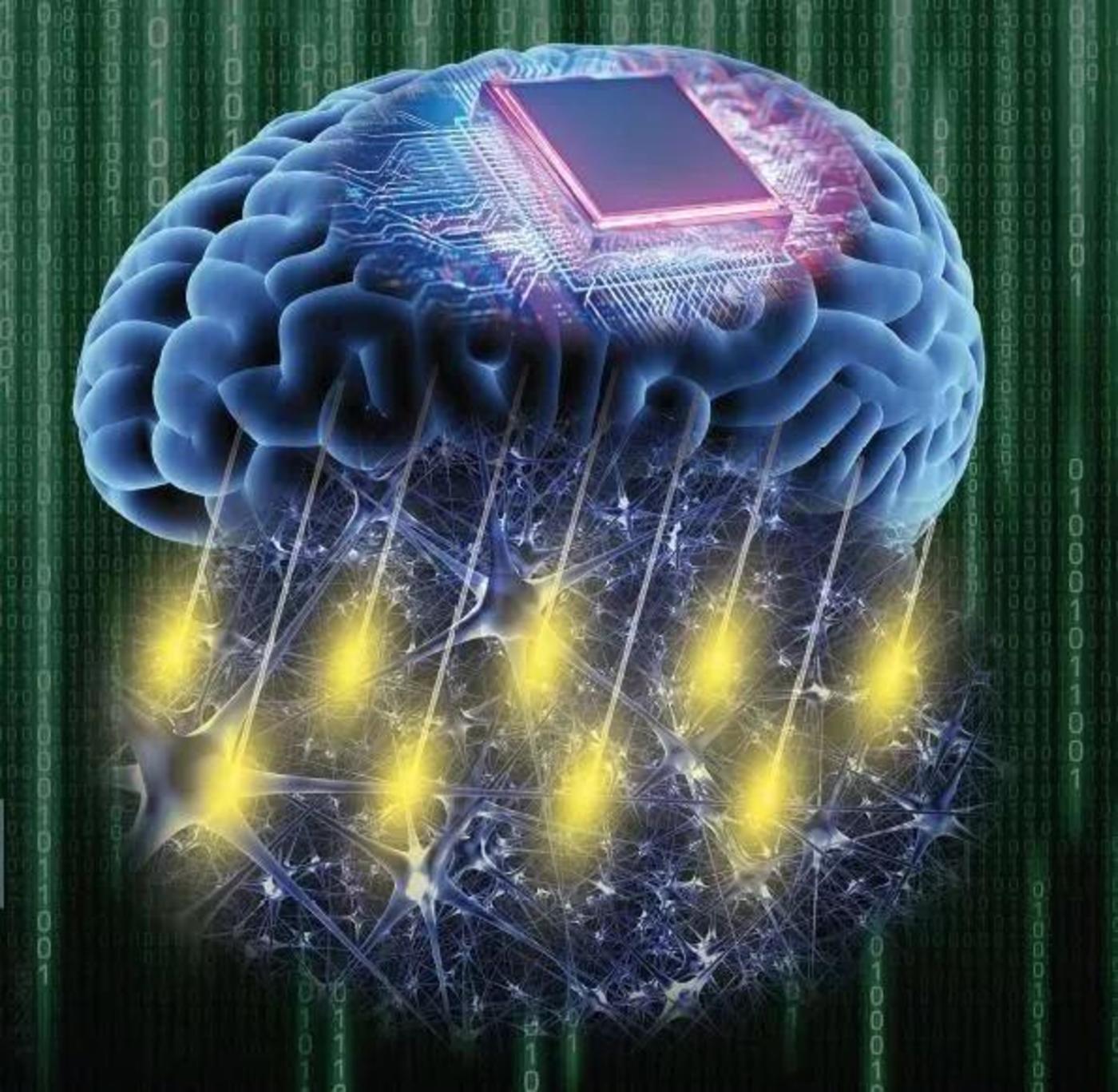3D打印首次在生物体内造电路，有望用于脑机接口领域
