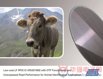 Atmel推出用于动物识别应用的低成本LF RFID IC产品