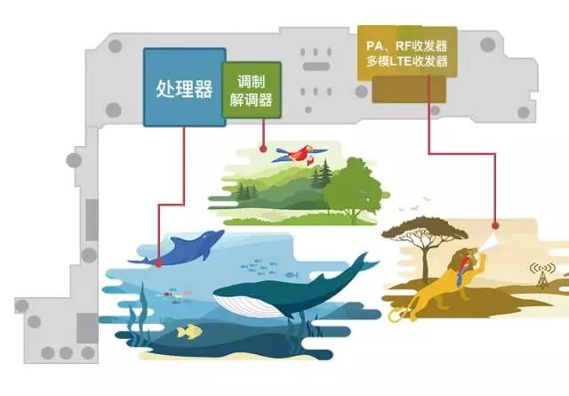 带你走进手机的集成电路电子生态系统